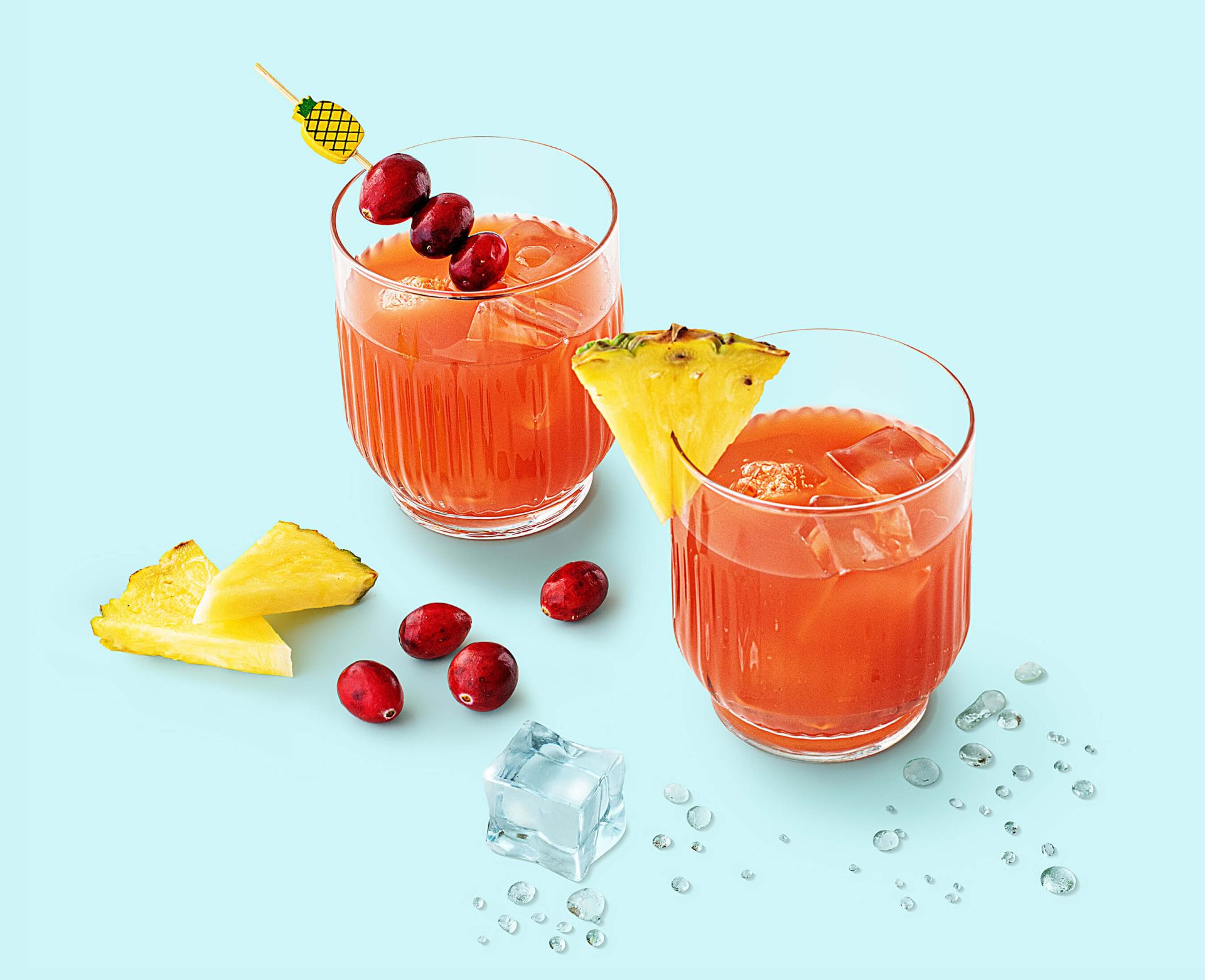 souslestropiques-web-retina